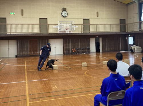 麻薬探知犬によるデモンストレーションの様子